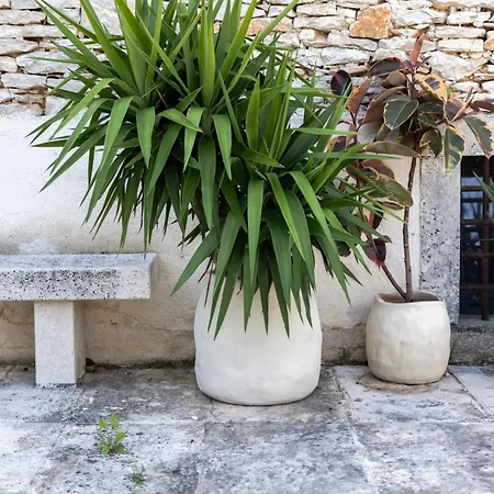 Scuola Roveria Juršići